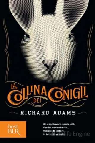 La Collina dei Conigli streaming