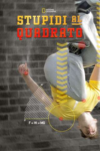 Stupidi al quadrato streaming