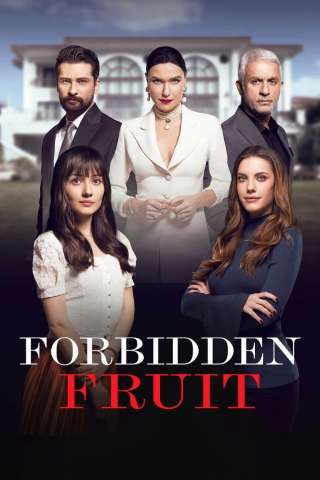 Forbidden fruit streaming