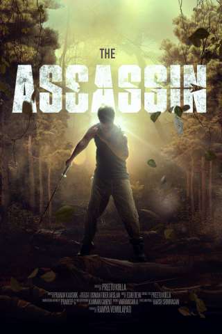 The Assassin streaming