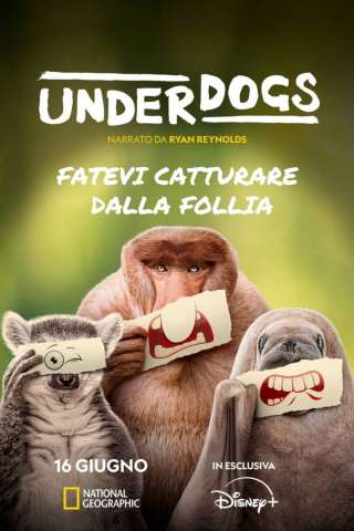 Locandina di Underdogs