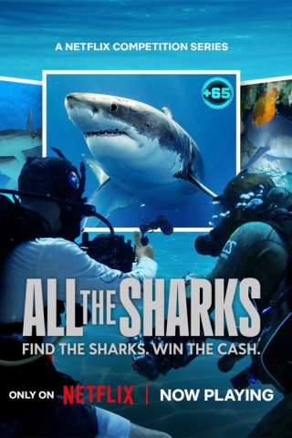 All the Sharks - In cerca di squali streaming