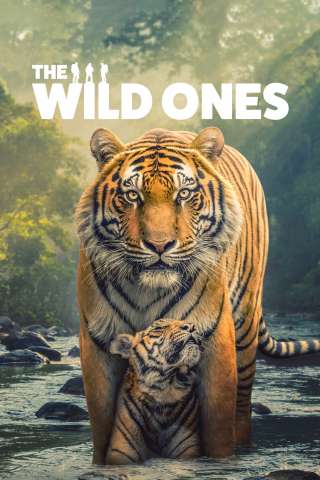 The Wild Ones streaming