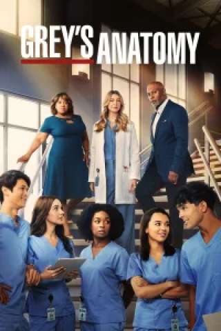 Grey's Anatomy streaming