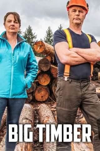 Big Timber - I taglialegna streaming