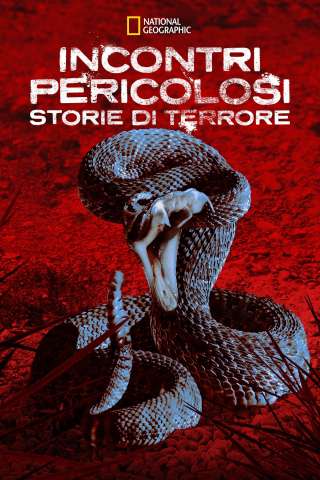 Incontri Pericolosi: Storie di Terrore streaming