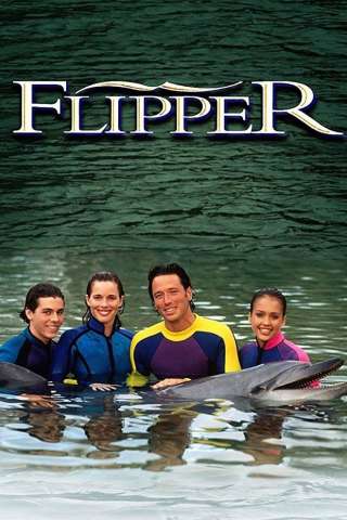 Le nuove avventure di Flipper streaming
