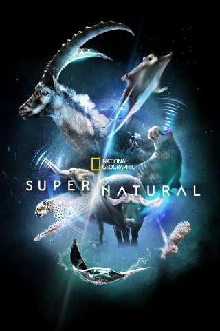 Super/Natural streaming