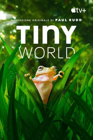 Tiny World streaming