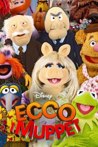 Ecco i Muppet streaming