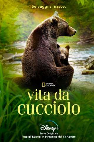 Vita da cucciolo streaming