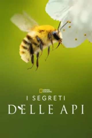 Locandina di I segreti delle api