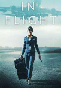 In Flight streaming