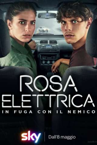 Locandina di Rosa Elettrica - In fuga con il nemico