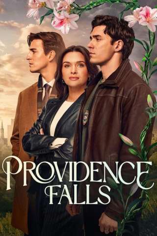 Locandina di Providence Falls
