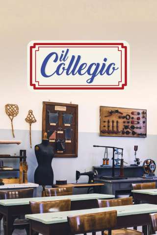 Il Collegio streaming