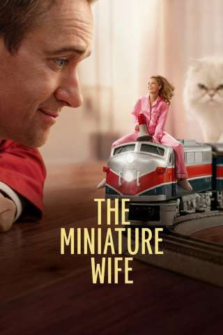 Locandina di The Miniature Wife - Un piccolo problema