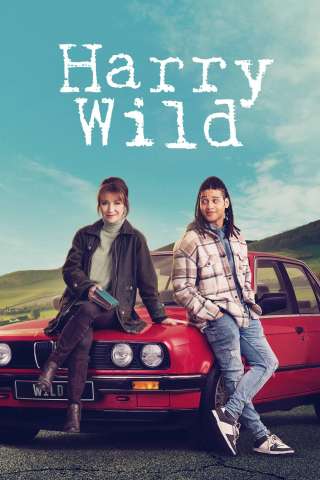 Harry Wild - La signora del delitto streaming